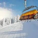 Leni's Mountain Frühstückspension Dienten am Hochkönig