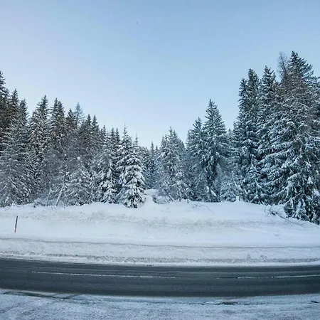 Leni's Mountain Oda ve Kahvaltı 3*