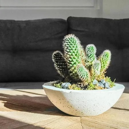 Leni's Mountain 3* Dienten am Hochkönig