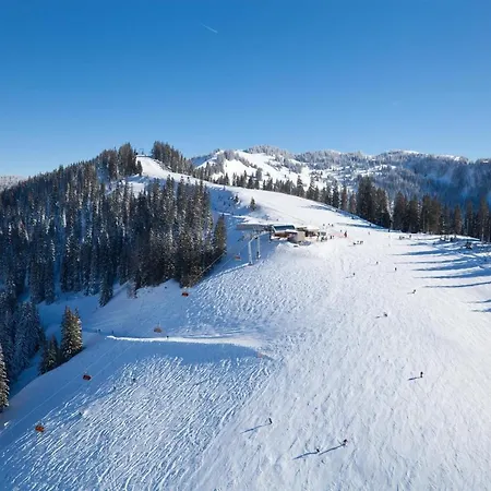 Leni's Mountain Dienten am Hochkönig