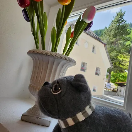 Leni's Mountain Dienten am Hochkönig